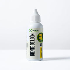 Melena de León extracto 60 ml