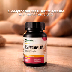 Ashwagandha - Withania somnifera