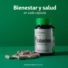 Kalanchoe 60 Cápsulas