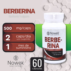 Berberina - 60 Cápsulas de 500 mg - Nowek