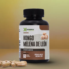 Hongo Melena de León cápsulas y polvo