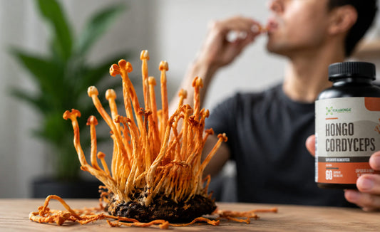 Cordyceps: el hongo medicinal que puede potenciar tu energía, resistencia y bienestar