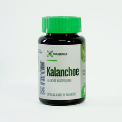 Kalanchoe 60 Cápsulas