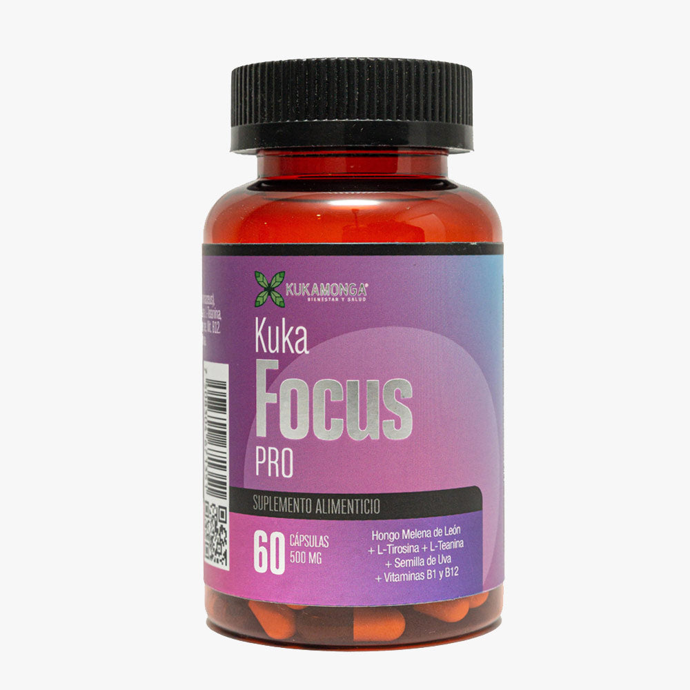 Kuka Focus